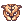 Tiger Face